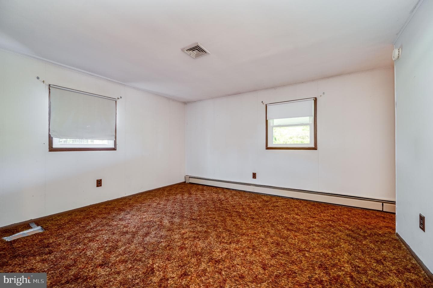 220 Maple Springs Drive photo 20