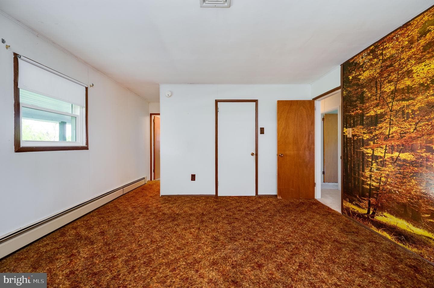 220 Maple Springs Drive photo 22
