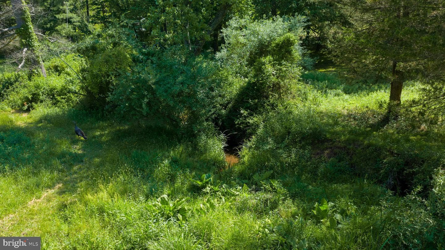 1421 Coldsprings Road photo 30