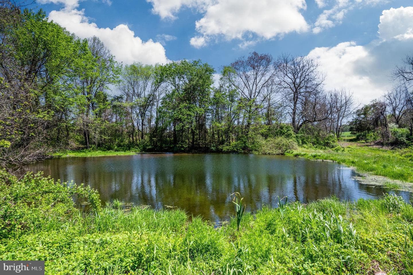491 Gunhart Road photo 31