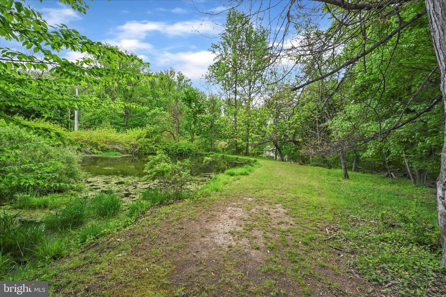 126 Crow Hill Road photo 55