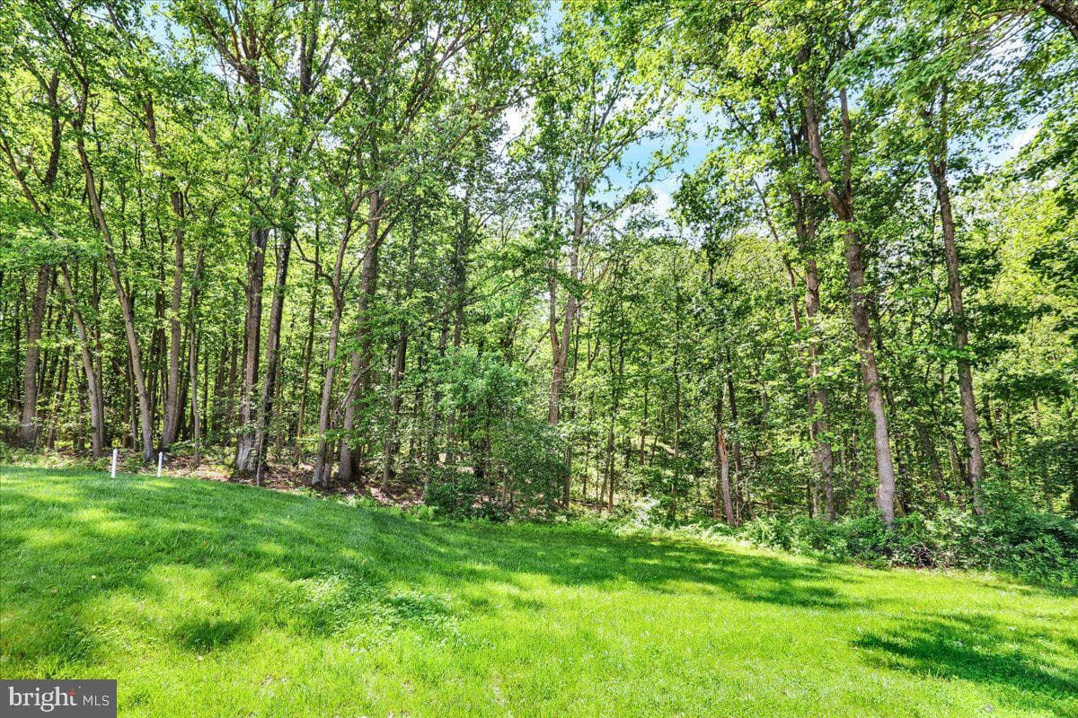 198 Oak Grove Road photo 46