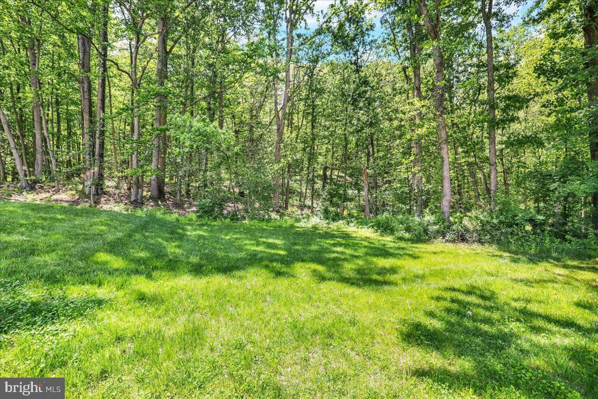 198 Oak Grove Road photo 47