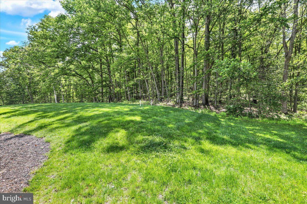 198 Oak Grove Road photo 48