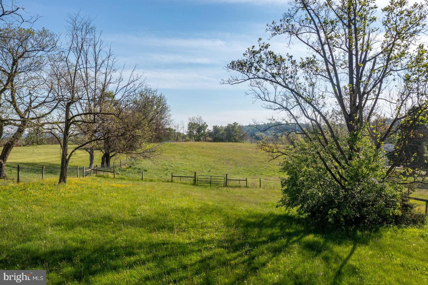 240 Oley Line Road photo 29