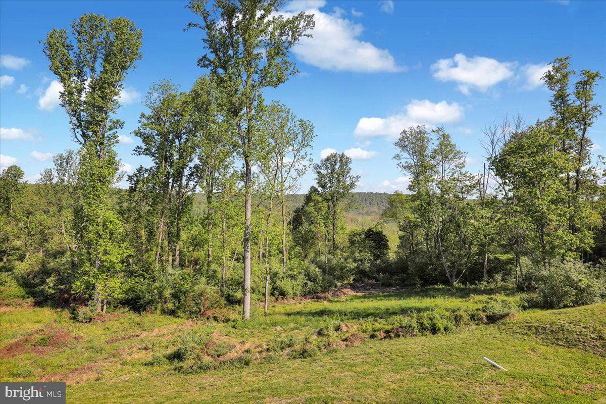 185 Oak Grove Road photo 45