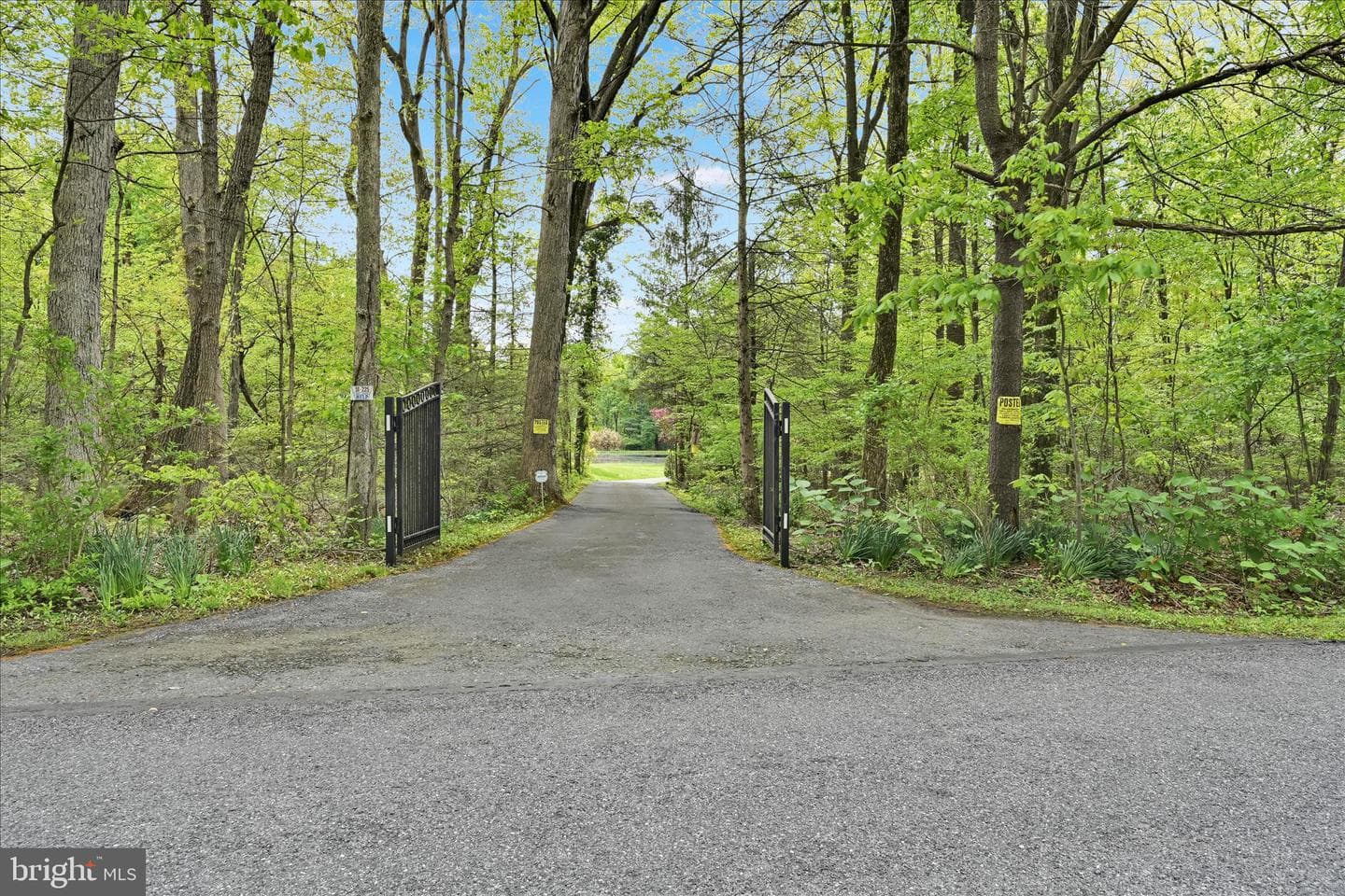 156 Bloody Spring Road photo 7