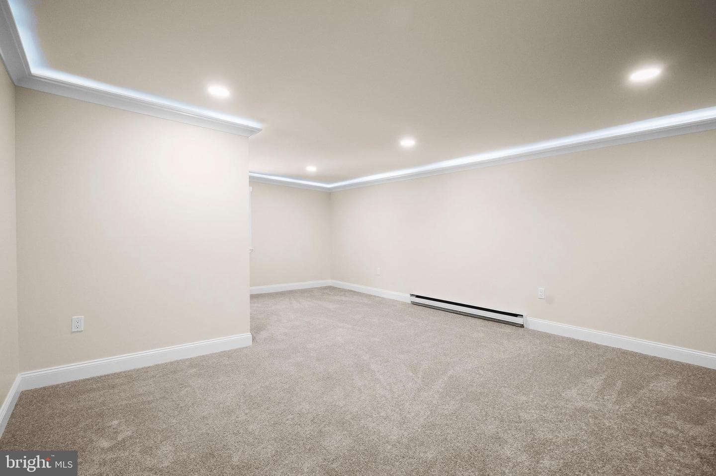 38 Dogwood Drive photo 48