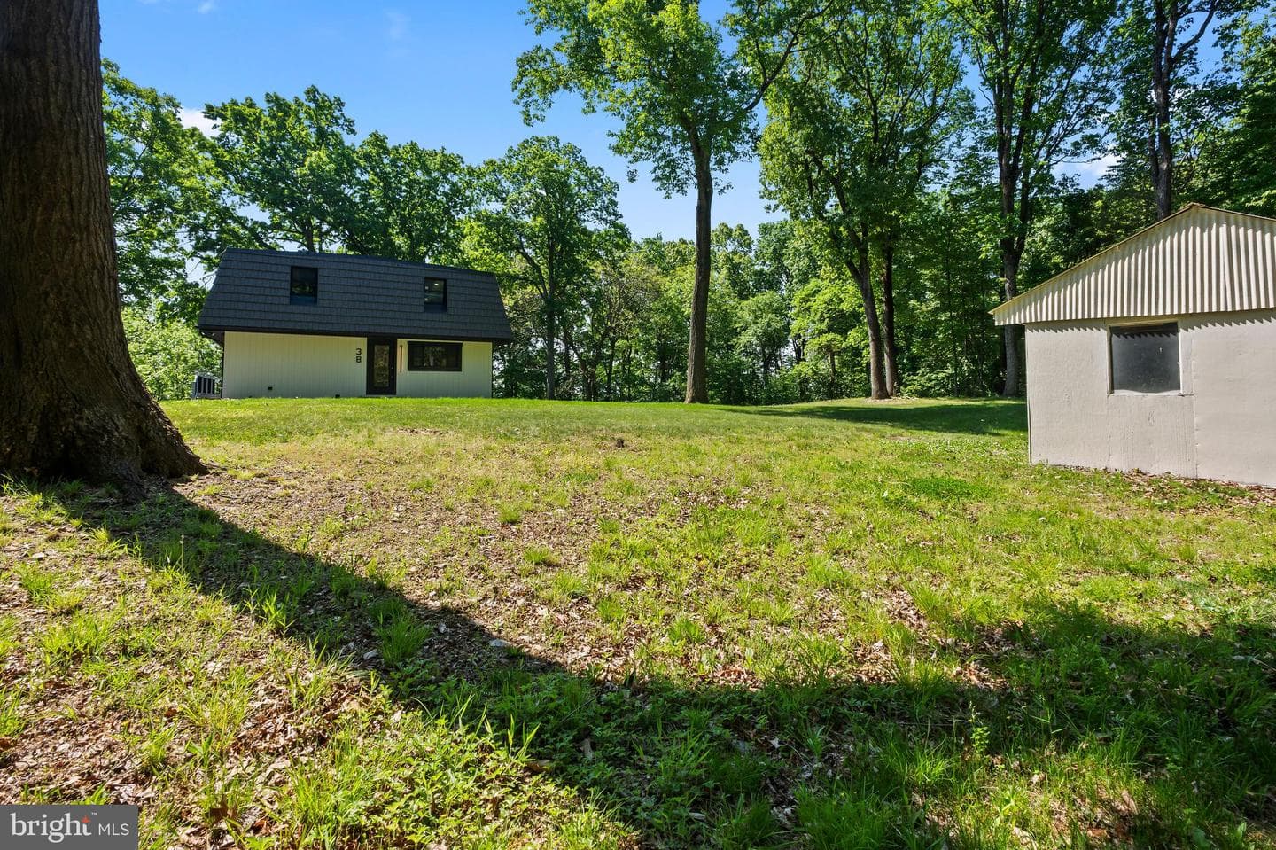 38 Dogwood Drive photo 81
