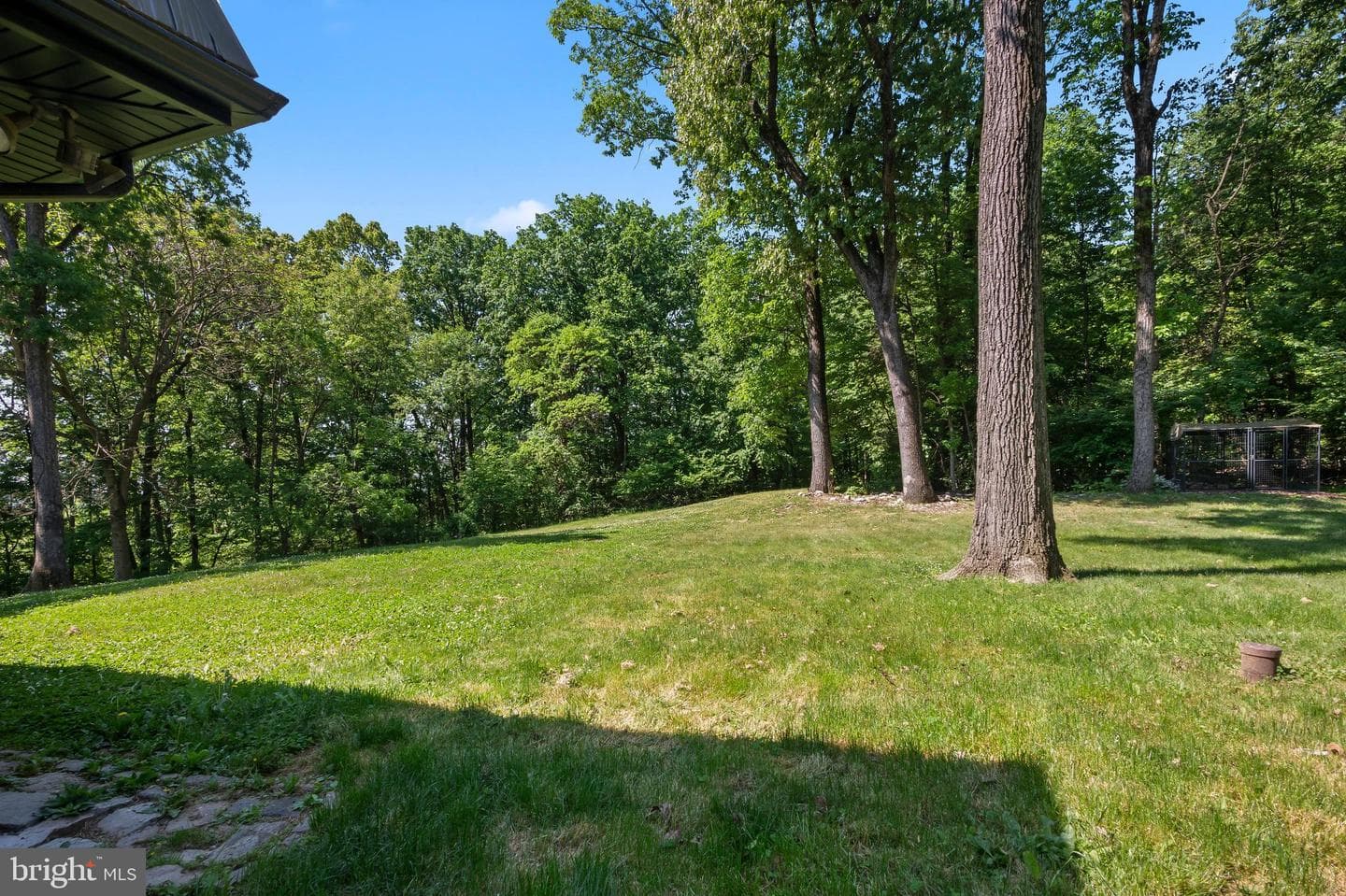 38 Dogwood Drive photo 84