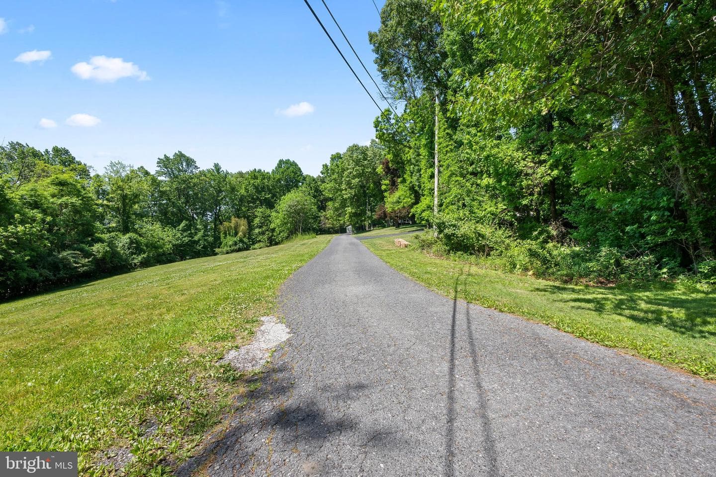 38 Dogwood Drive photo 85