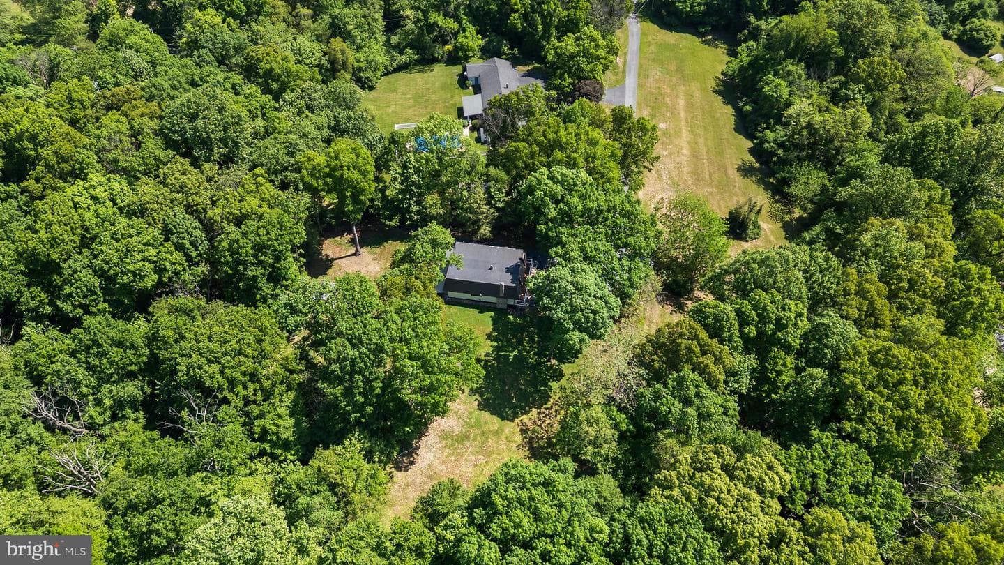 38 Dogwood Drive photo 89