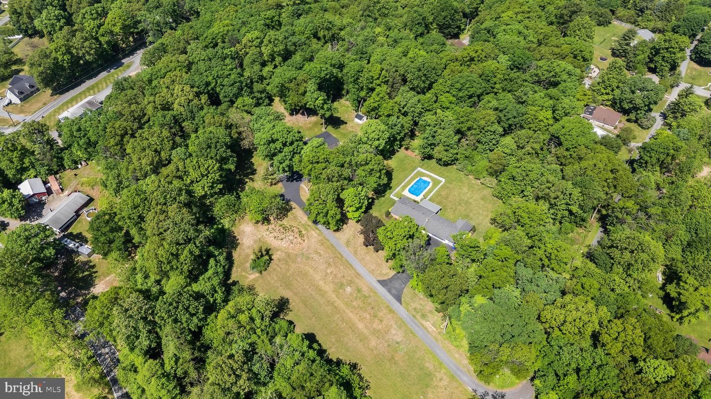 38 Dogwood Drive photo 91