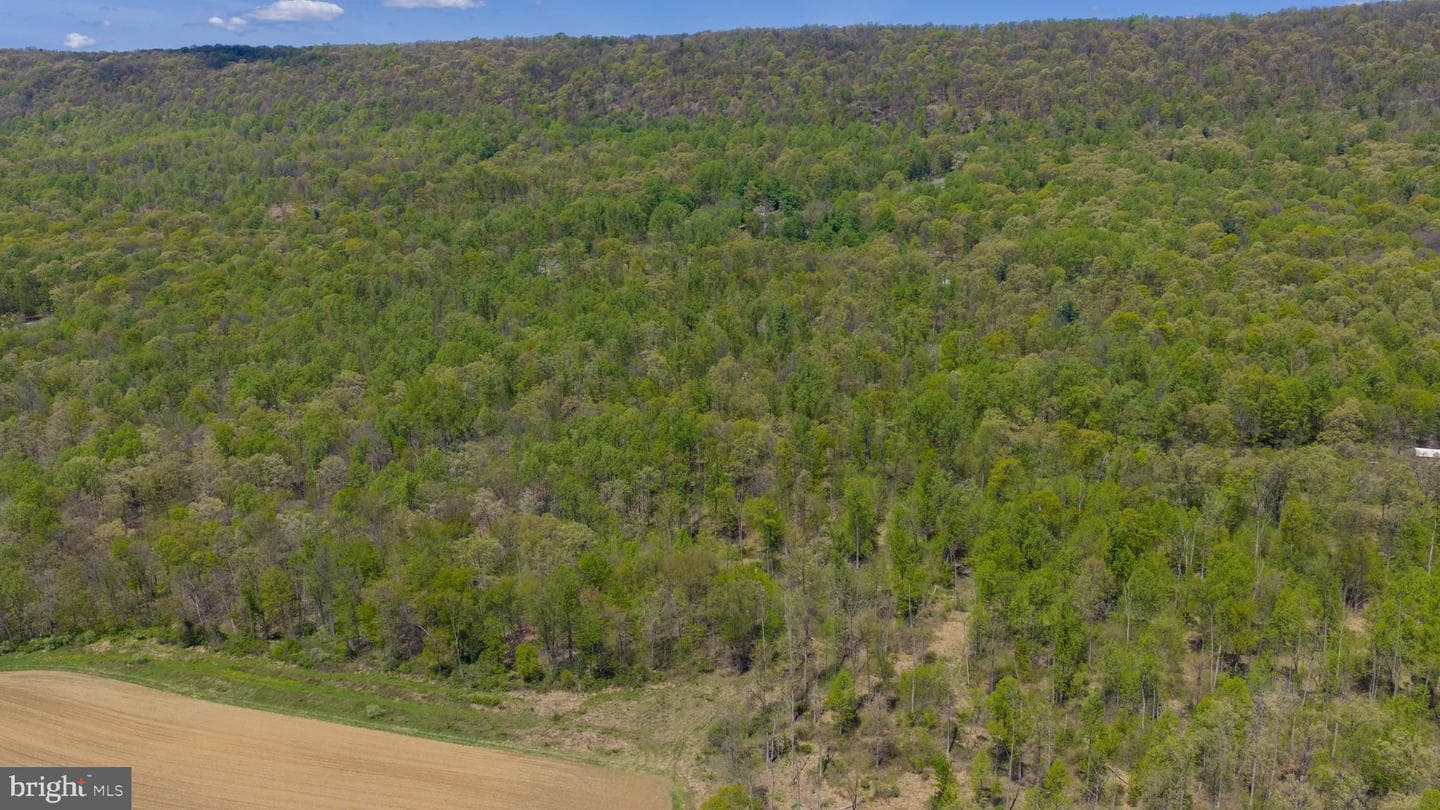 3278 Camp Swatara Road photo 10