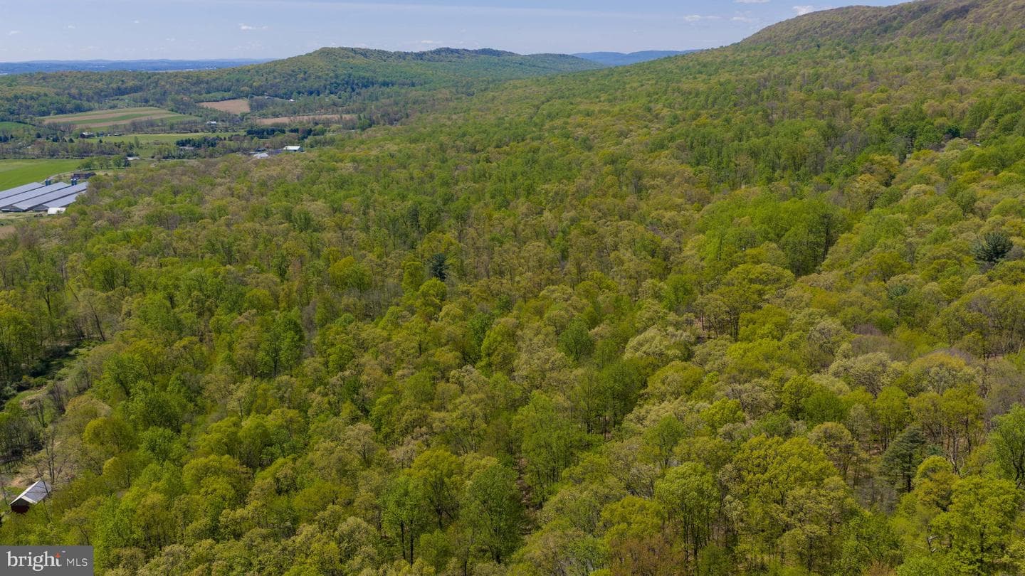 3278 Camp Swatara Road photo 12