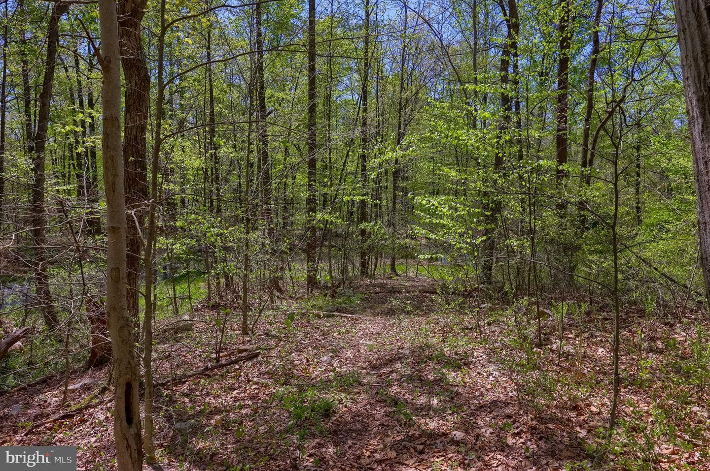 3278 Camp Swatara Road photo 29
