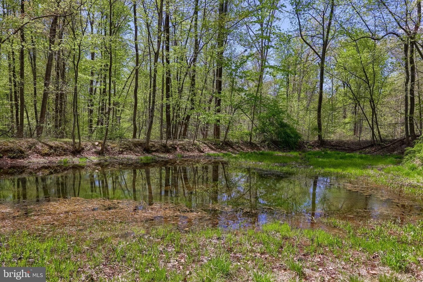 3278 Camp Swatara Road photo 30