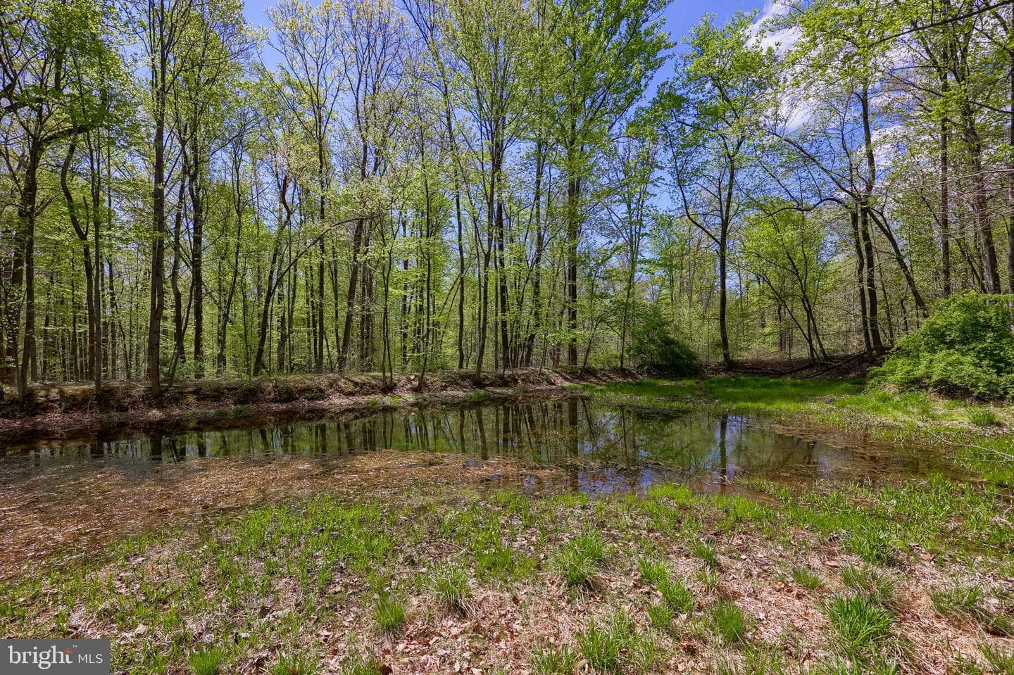 3278 Camp Swatara Road photo 31