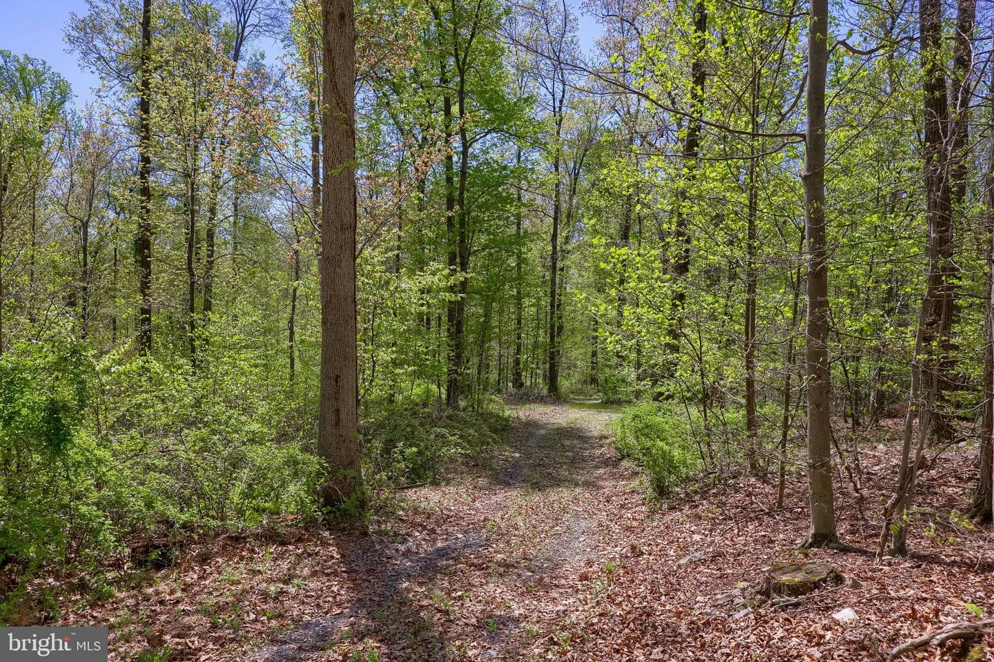 3278 Camp Swatara Road photo 38