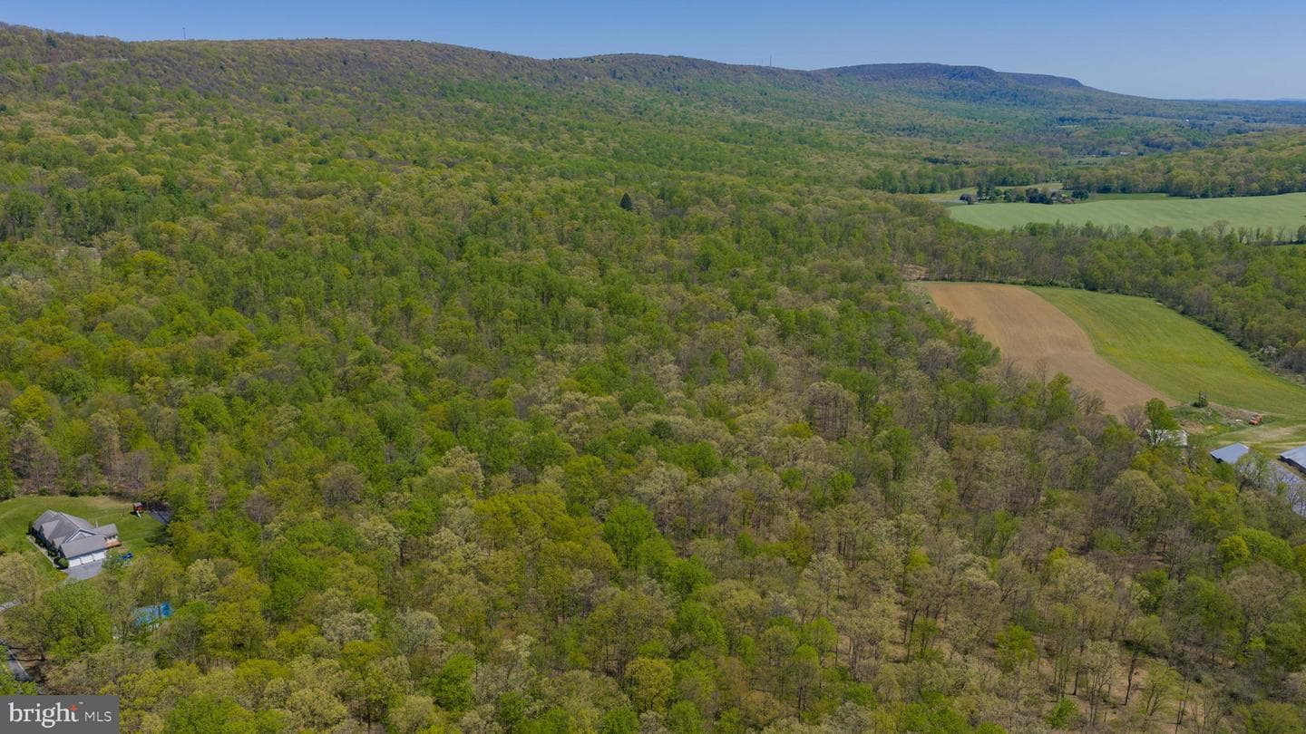 3278 Camp Swatara Road photo 7