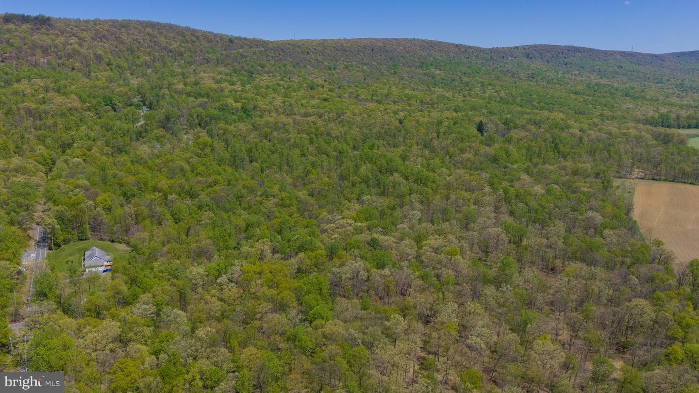 3278 Camp Swatara Road photo 8