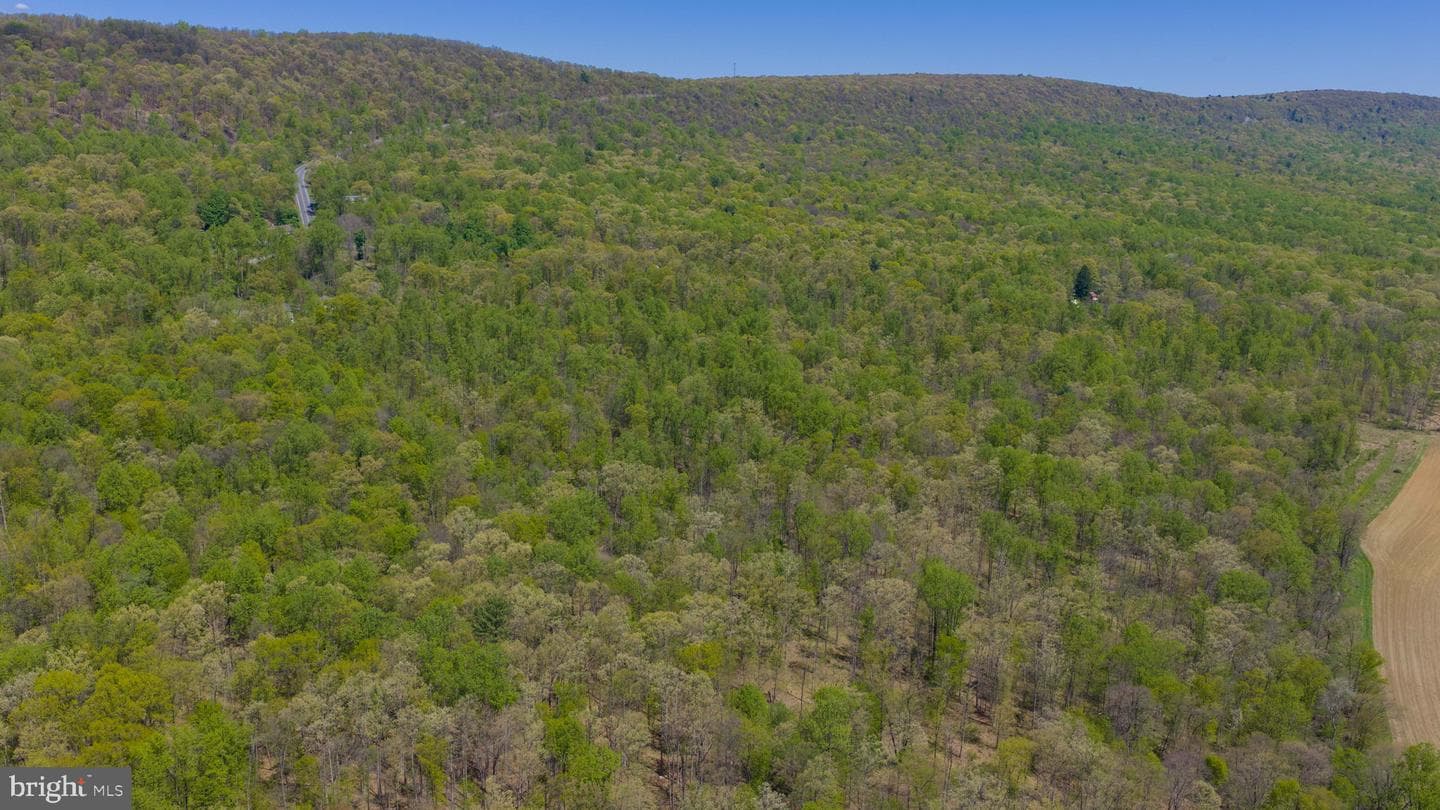 3278 Camp Swatara Road photo 9