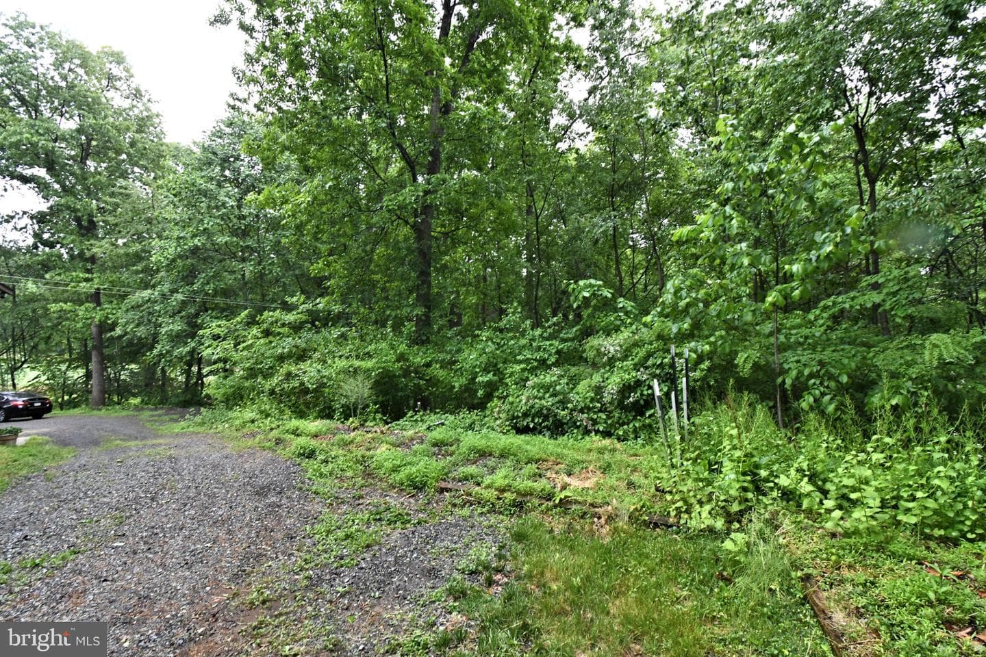 148 Fredericksville Road photo 52