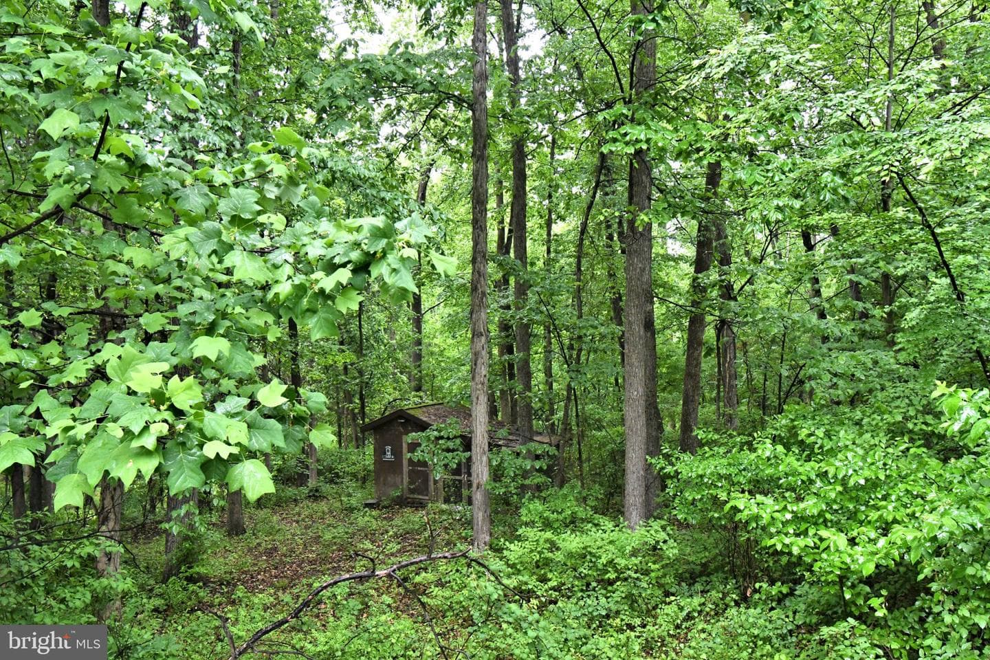 148 Fredericksville Road photo 53