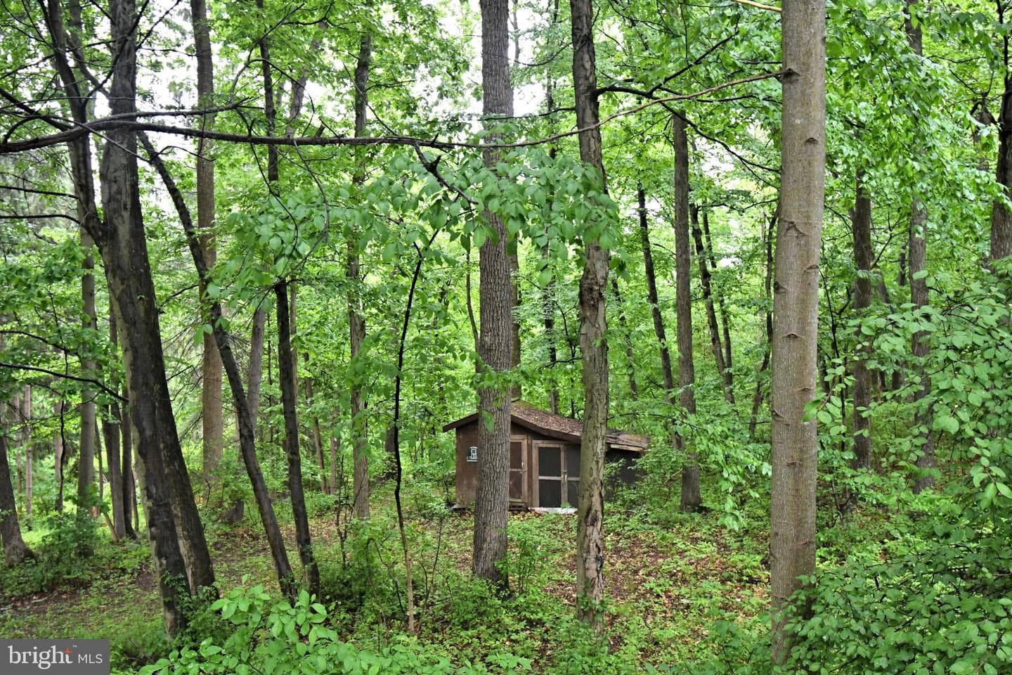 148 Fredericksville Road photo 54