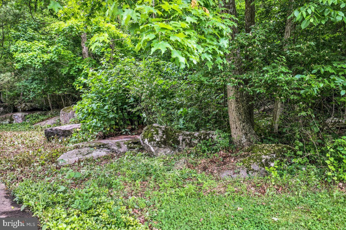 283 Witmer photo 46