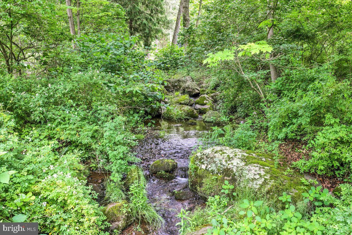 283 Witmer photo 48