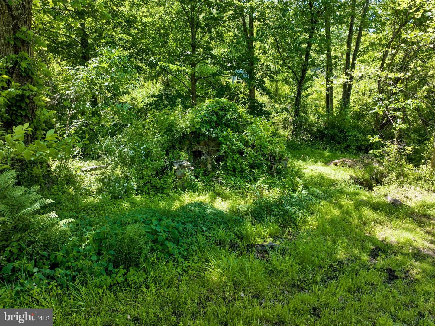 32 Furnace Run Road photo 58