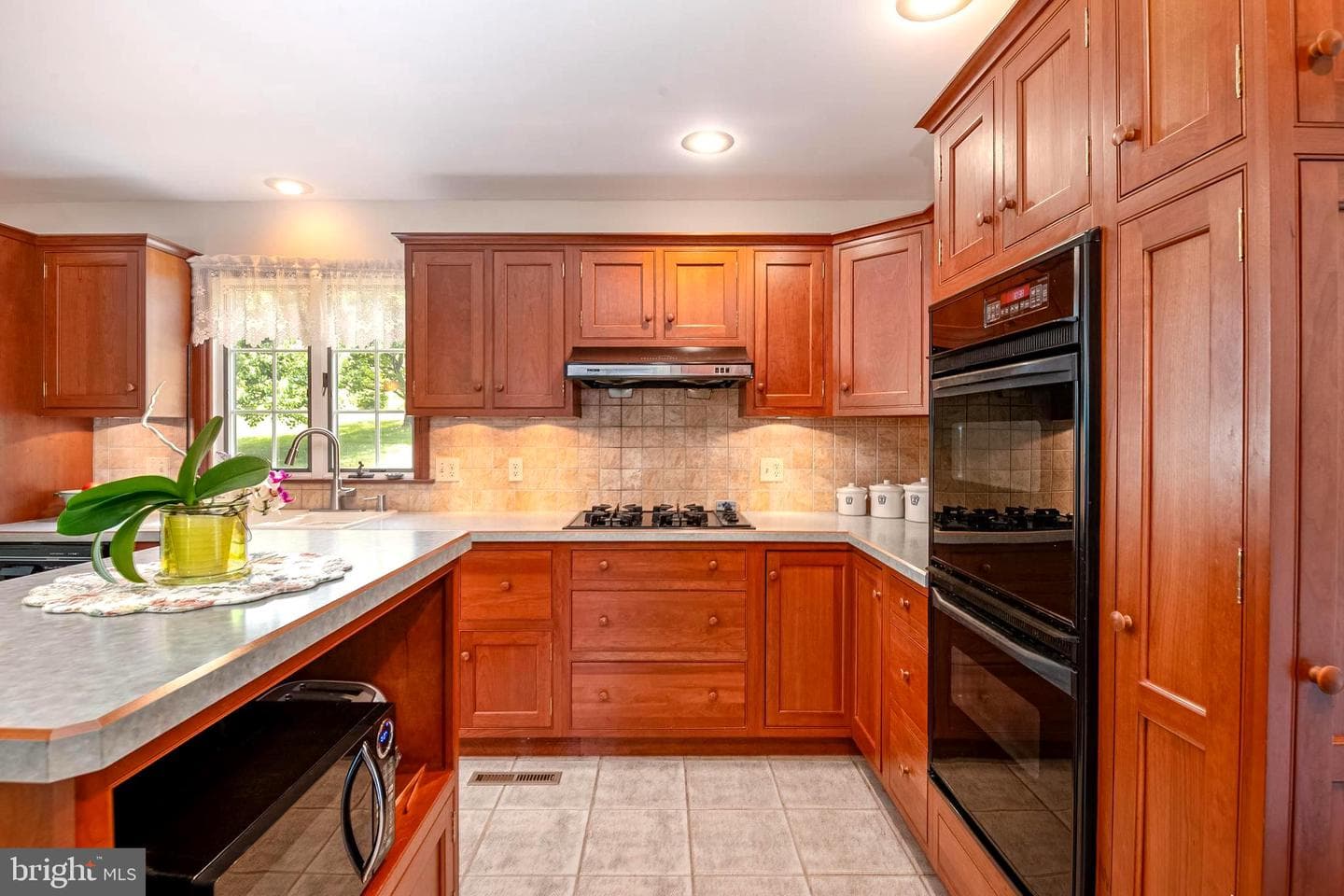 19 Sokol Drive photo 14