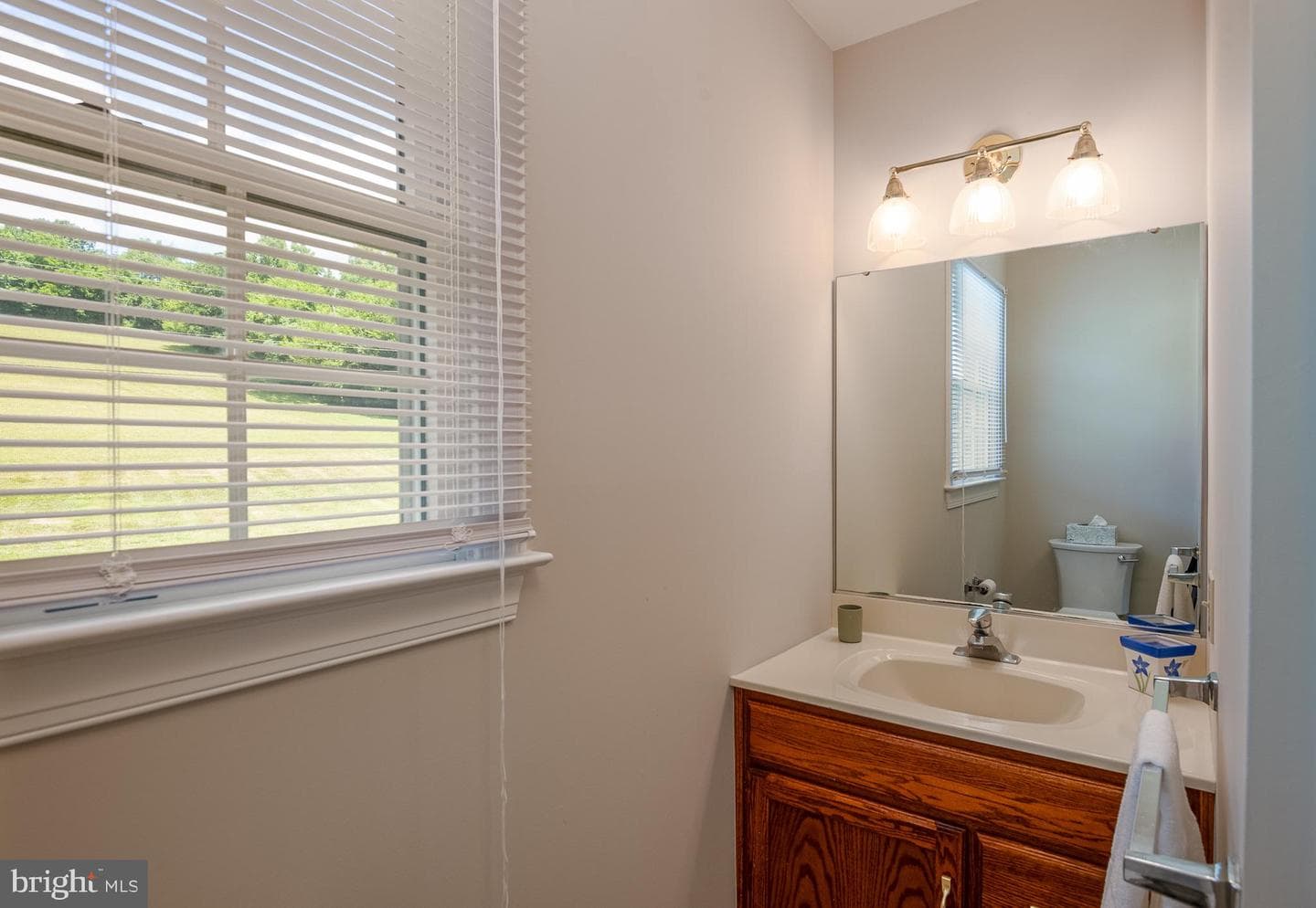 19 Sokol Drive photo 24