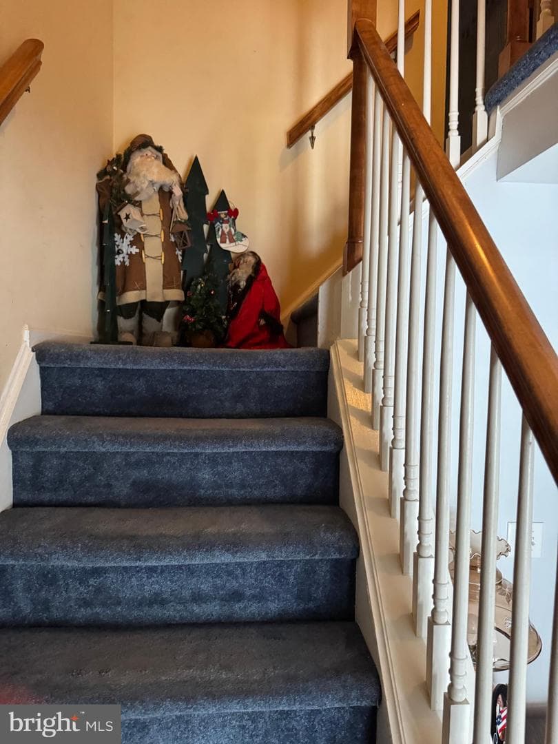 57 Winchester Court photo 22