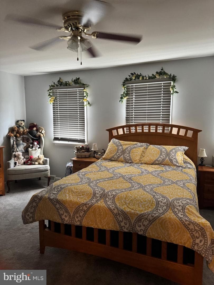 57 Winchester Court photo 24