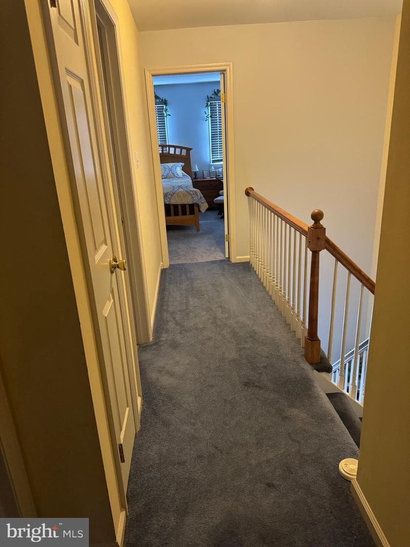 57 Winchester Court photo 31