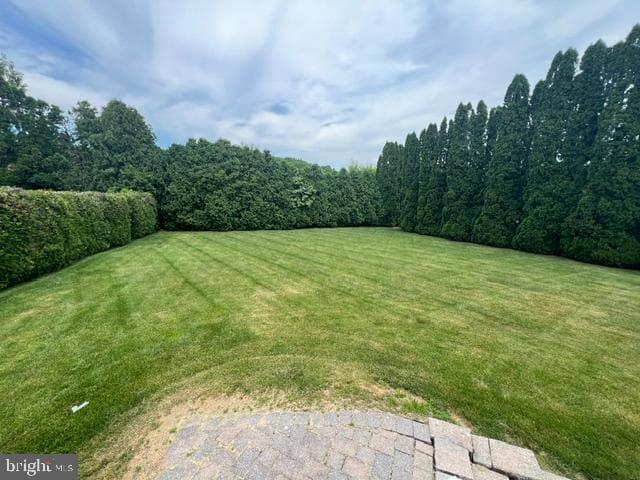 641 Luella Drive photo 4