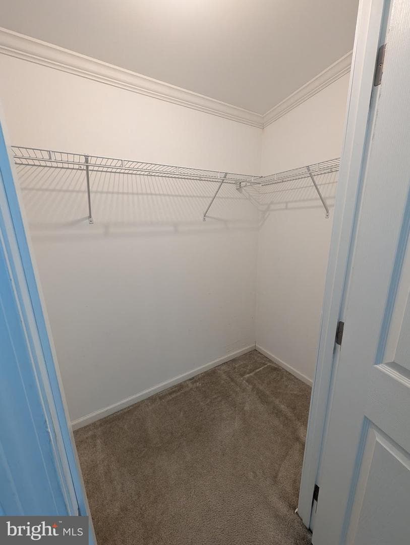75 Westin Road photo 24