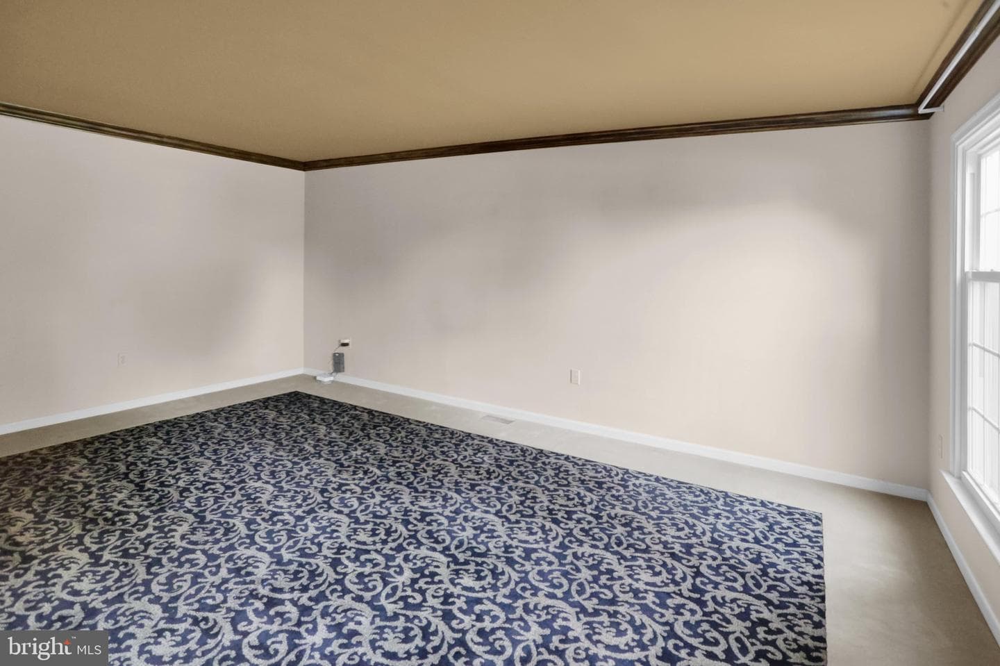 1723 Colony Drive photo 14