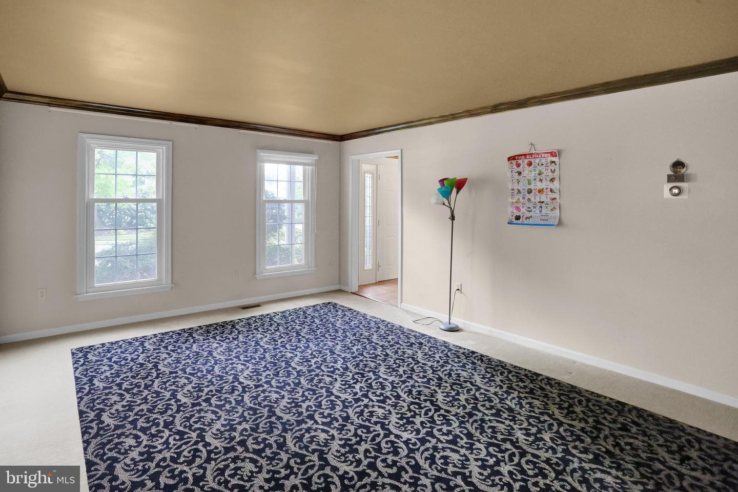 1723 Colony Drive photo 15