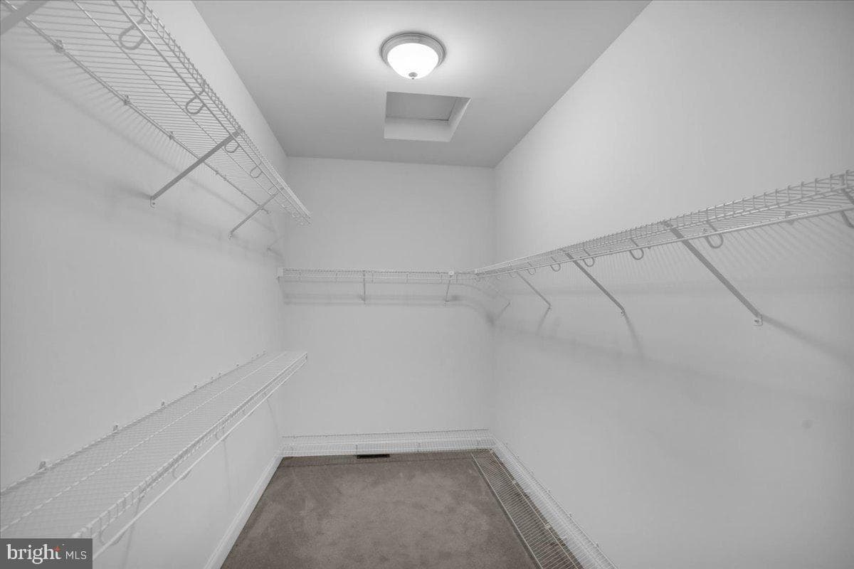 52 Harry Avenue photo 29