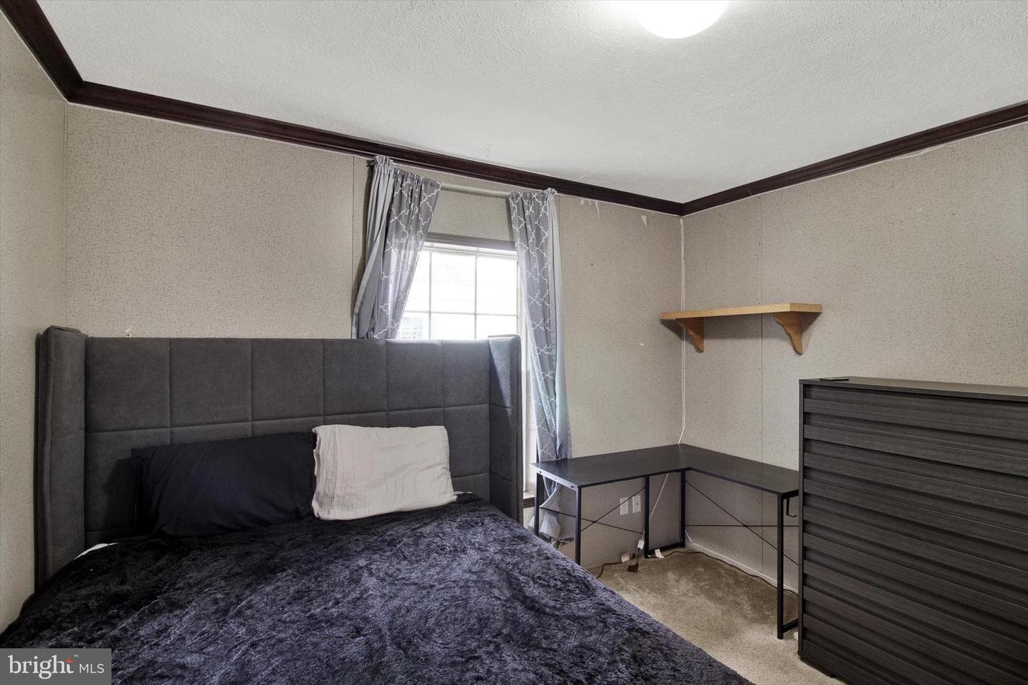 3450 Mountain Road #trlr M20 photo 27