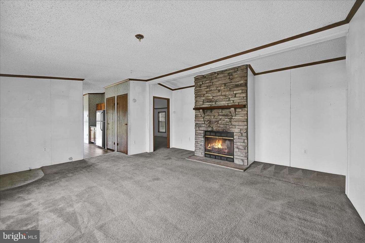 350 Myer Drive photo 16