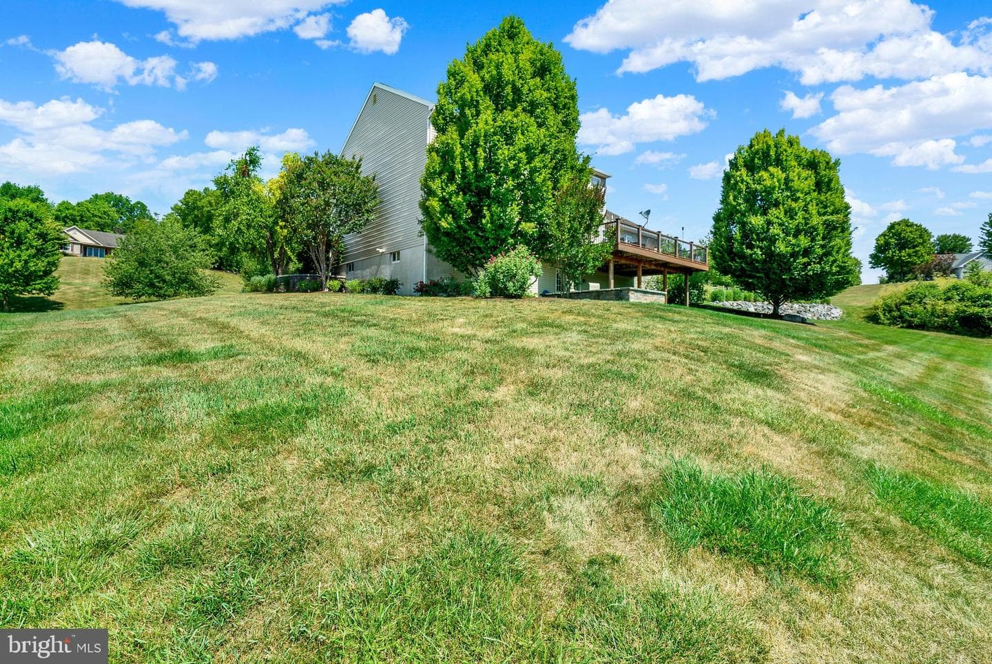 21 Hilgert Avenue photo 37