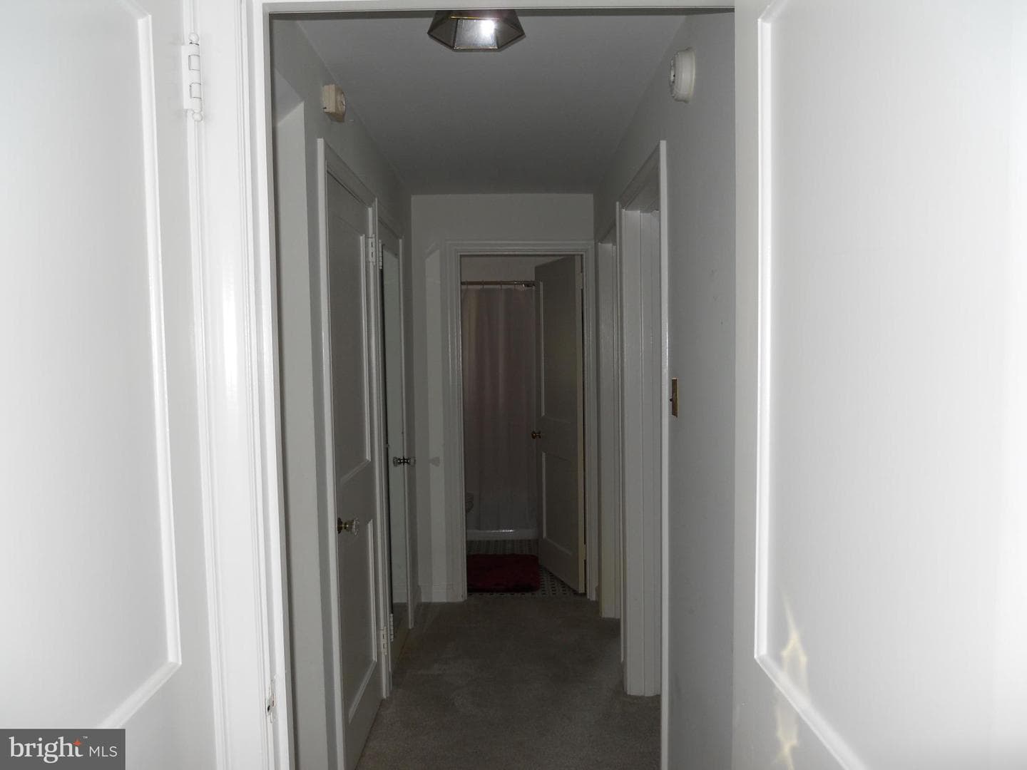 223 Mayer Street photo 19