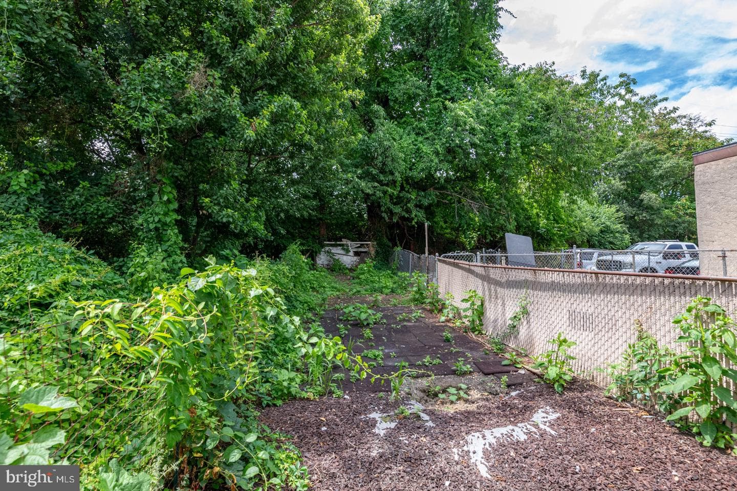 832 Nicolls Street photo 13