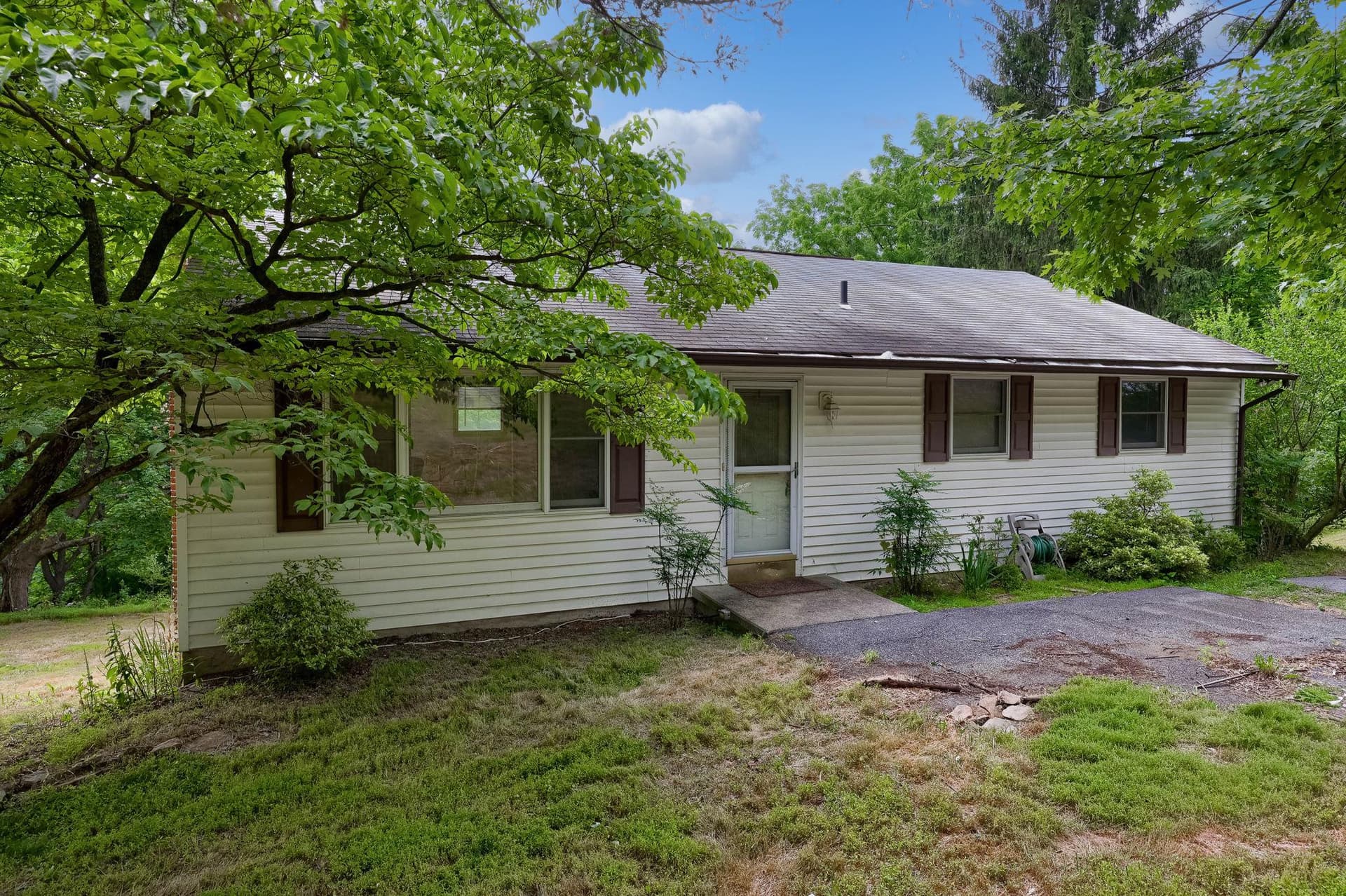 49 Preston Road photo 6