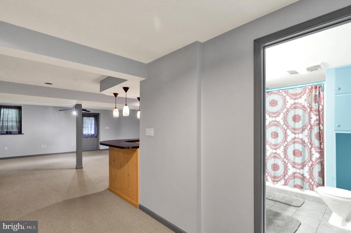 10 Maplewood Avenue #5a photo 29