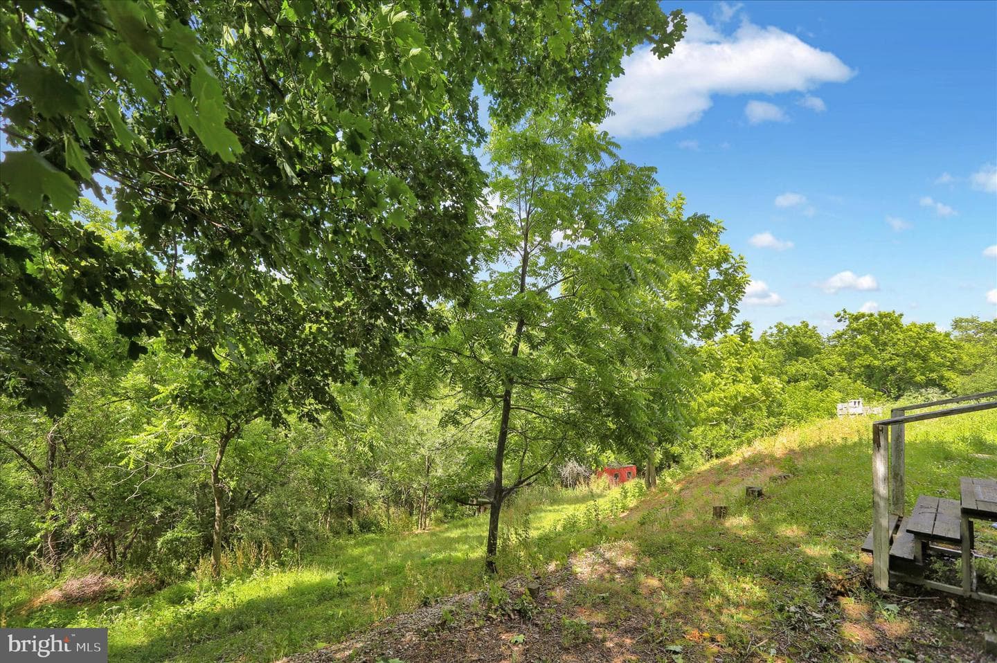 746 River Road photo 5